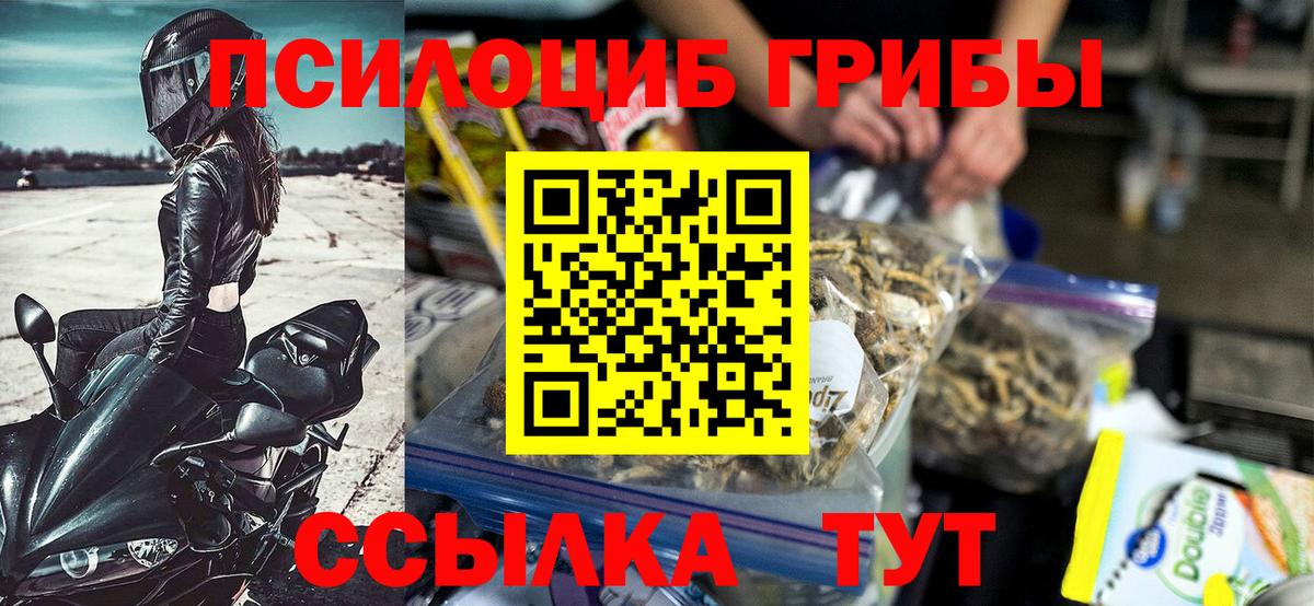 Галлюциногенные грибы прущие грибы Кострома