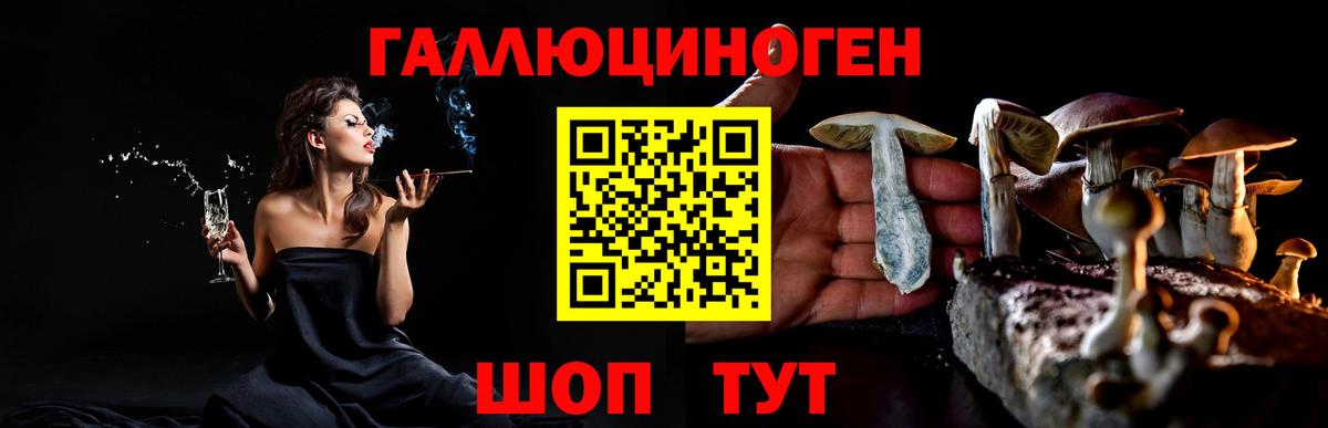 Галлюциногенные грибы Psilocybe  Вход с VPN  Кострома  Галлюциногенные грибы прущие грибы 